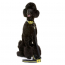DOOG Neon Dog Collar Bolt MEDIUM