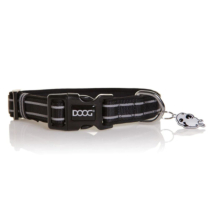 DOOG Neon Dog Collar Lassie SMALL
