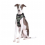 DOOG Neoflex Dog Harness Bruiser MEDIUM