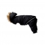 GF PET Creekside Snowsuit  BLACK  L