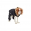 GF PET  Creekside Snowsuit  BLACK  2XL