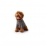 GF PET Gondola Base Layer  CHARCOAL  M