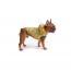 GF PET Reversible Raincoat  YELLOW  S