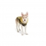 GF PET Reversible Raincoat  YELLOW  2XL