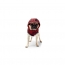 GF PET Reversible Raincoat  RED  L