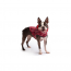 GF PET Reversible Raincoat  RED  L