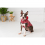 GF PET Reversible Raincoat  RED  L