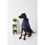 GF PET Reversible Raincoat  NAVY  2XL