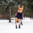 GF PET Elasto-Fit Boots  M
