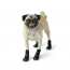 GF PET  Elasto-Fit Boots  XL