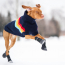GF PET  Elasto-Fit Boots  XL