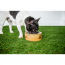 GF PET  Mango Wood Bowl  L