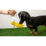 GF PET Water Bottle - YELLOW - NEW STYLE