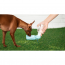 GF PET Water Bottle  - BLUE - NEW STYLE