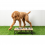 GF PET Wood and Metal Feeder - M