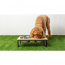 GF PET Wood and Metal Feeder - M