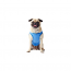 GF PET Elasto-Fit Ice Vest - M