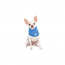 GF PET Ice Band - XS