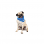 GF PET Ice Band - S/M
