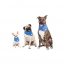 GF PET Ice Band - S/M