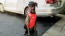 GF PET Travel Harness - RED - XL