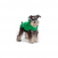 GF PET Reversible Raincoat - GREEN - L
