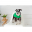 GF PET Reversible Raincoat - GREEN - L