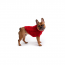 GF PET Chalet Sweater - RED - 2XS