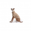 GF PET Chalet Sweater - OATMEAL - 2XL
