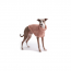 GF PET Chalet Sweater - PINK - 3XL