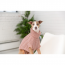 GF PET Chalet Sweater - PINK - 3XL