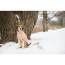 GF PET Chalet Sweater - PINK - 3XL