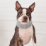 GF PET CHALET TUBE SCARF - HEATHER GREY - M