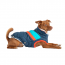 GF PET ALPINE PUFFER - DARK BLUE - 4XL