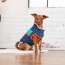 GF PET ALPINE PUFFER - DARK BLUE - 4XL