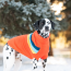 GF PET ALPINE SWEATER - ORANGE - 2XS