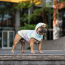 GF PET Reversible Raincoat - NEON YELLOW WITH TIE DYE - XS