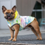 GF PET Reversible Raincoat - NEON YELLOW WITH TIE DYE - XS