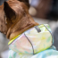 GF PET Reversible Raincoat - NEON YELLOW WITH TIE DYE - L