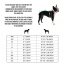 GF PET Reversible Raincoat - NEON AQUA WITH IRIDESCENT - X