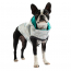GF PET Reversible Raincoat - NEON AQUA WITH IRIDESCENT - X