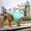 GF PET Reversible Raincoat - NEON AQUA WITH IRIDESCENT - X