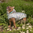 GF PET Reversible Raincoat - NEON AQUA WITH IRIDESCENT - X