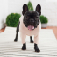 GF PET Gondola Base Layer PINK L