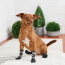 GF PET All Terrain Boots BLACK XS