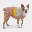 GF PET Elasto-Fit Camplife Puffer CLAY XS