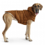 GF PET Elasto-Fit Arctic Parka WOOD L