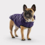 GF PET Elasto-Fit Cloud Parka PURPLE 3XL