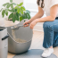 LITTER GENIE Cat Litter Scoop - Grey