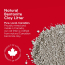 LITTER GENIE LIGHT Clumping Cat Litter 10.5kg
